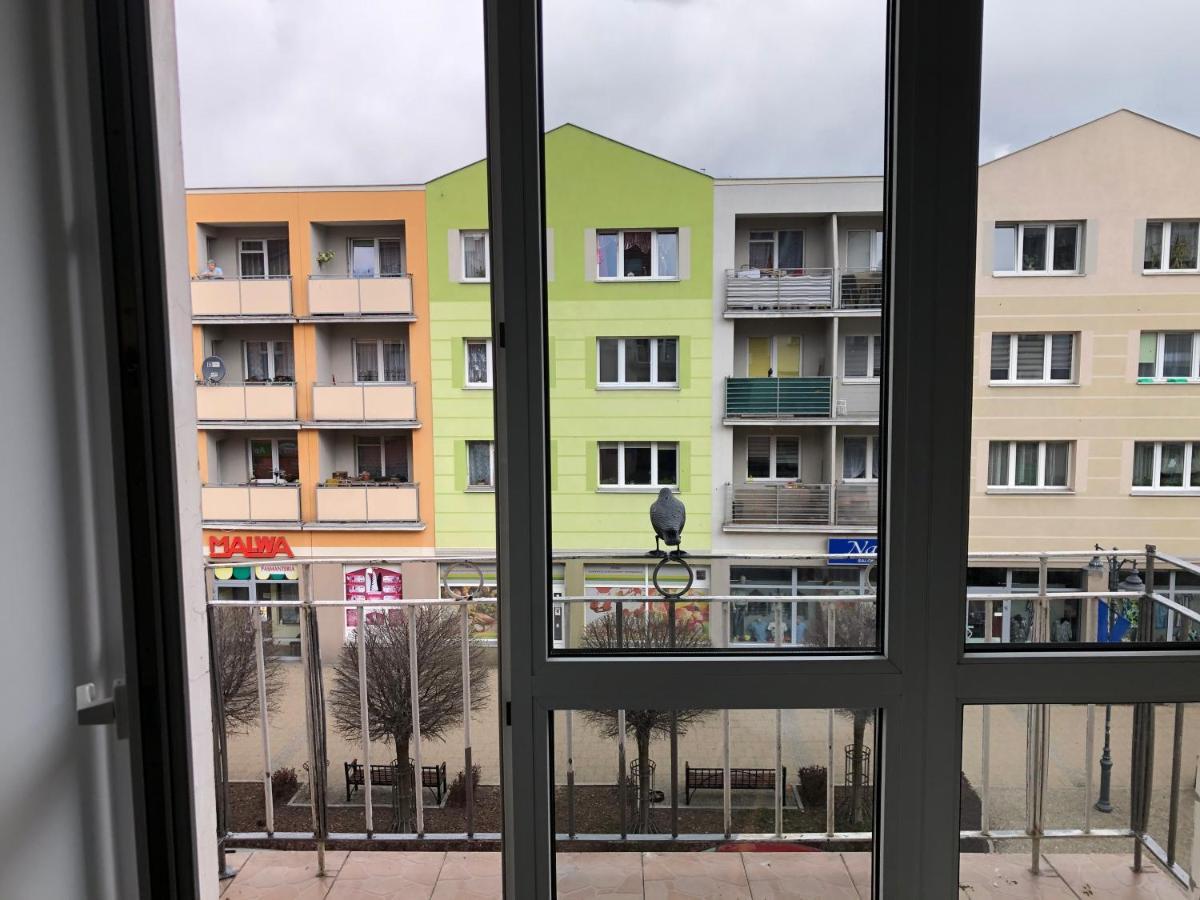 Apartament Kosciuszki Malbork Ngoại thất bức ảnh